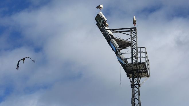 | CÉSAR SÁNCHEZ (ICAL) | CÉSAR SÁNCHEZ (ICAL)