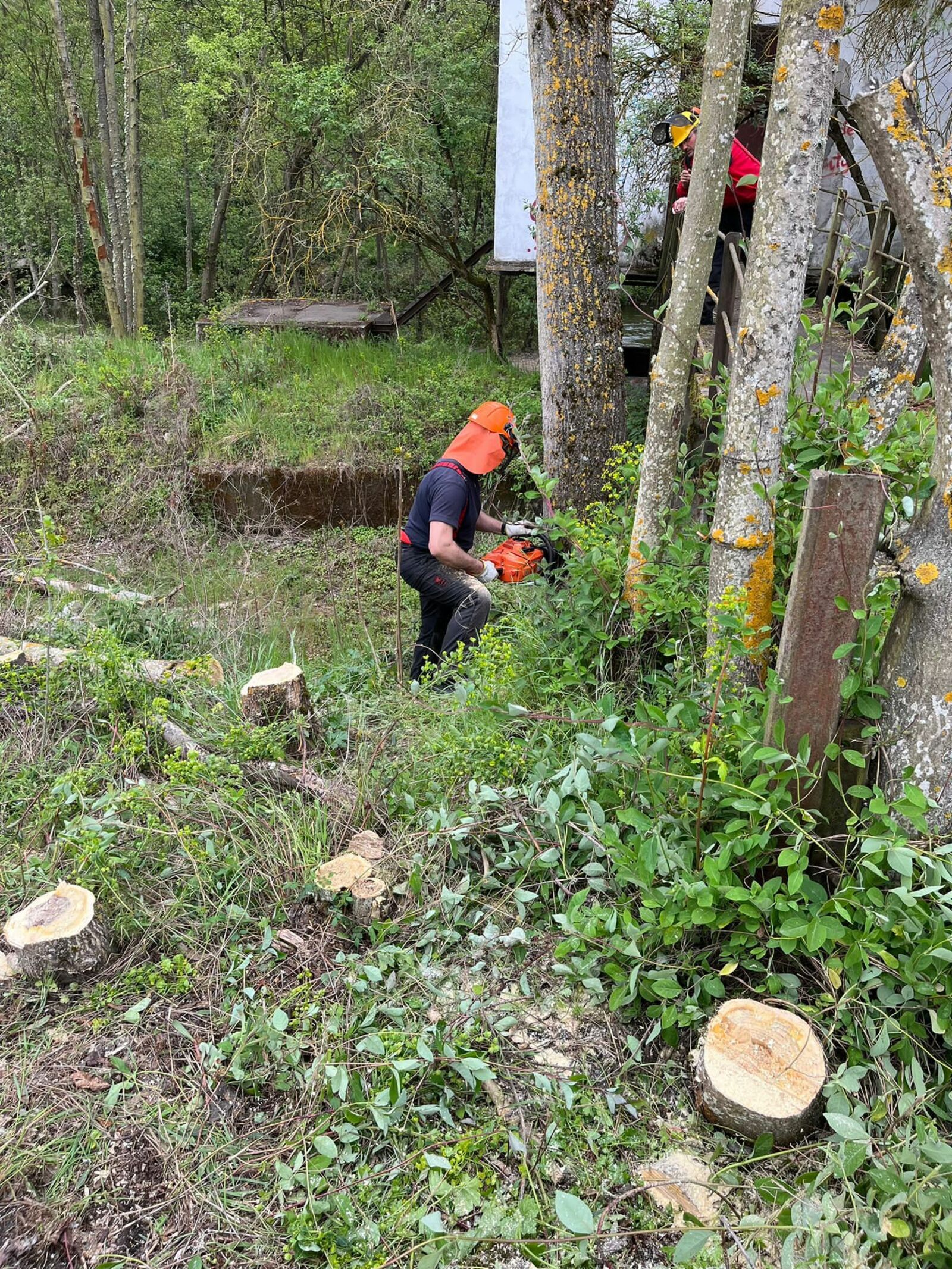 Trabajos realizados dentro del proyecto Anillo Verde.