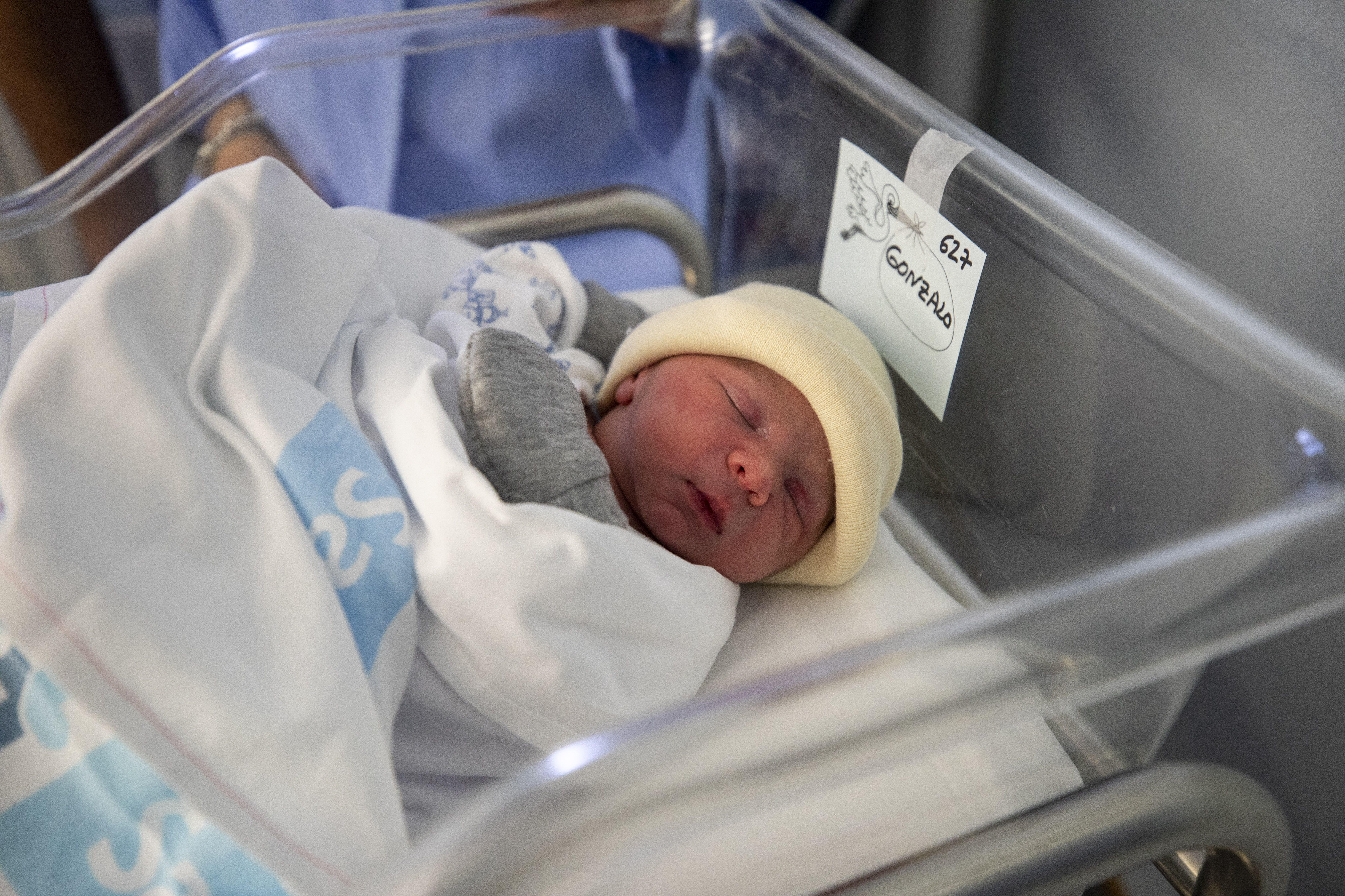 Los nacimientos repuntaron ligeramente el año pasado en León. | ICAL