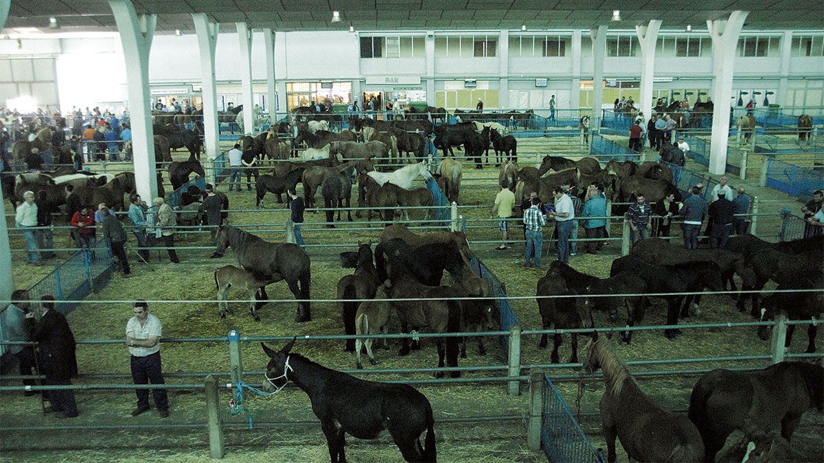 Imagen de archivo del mercado de ganados de León. | MAURICIO PEÑA