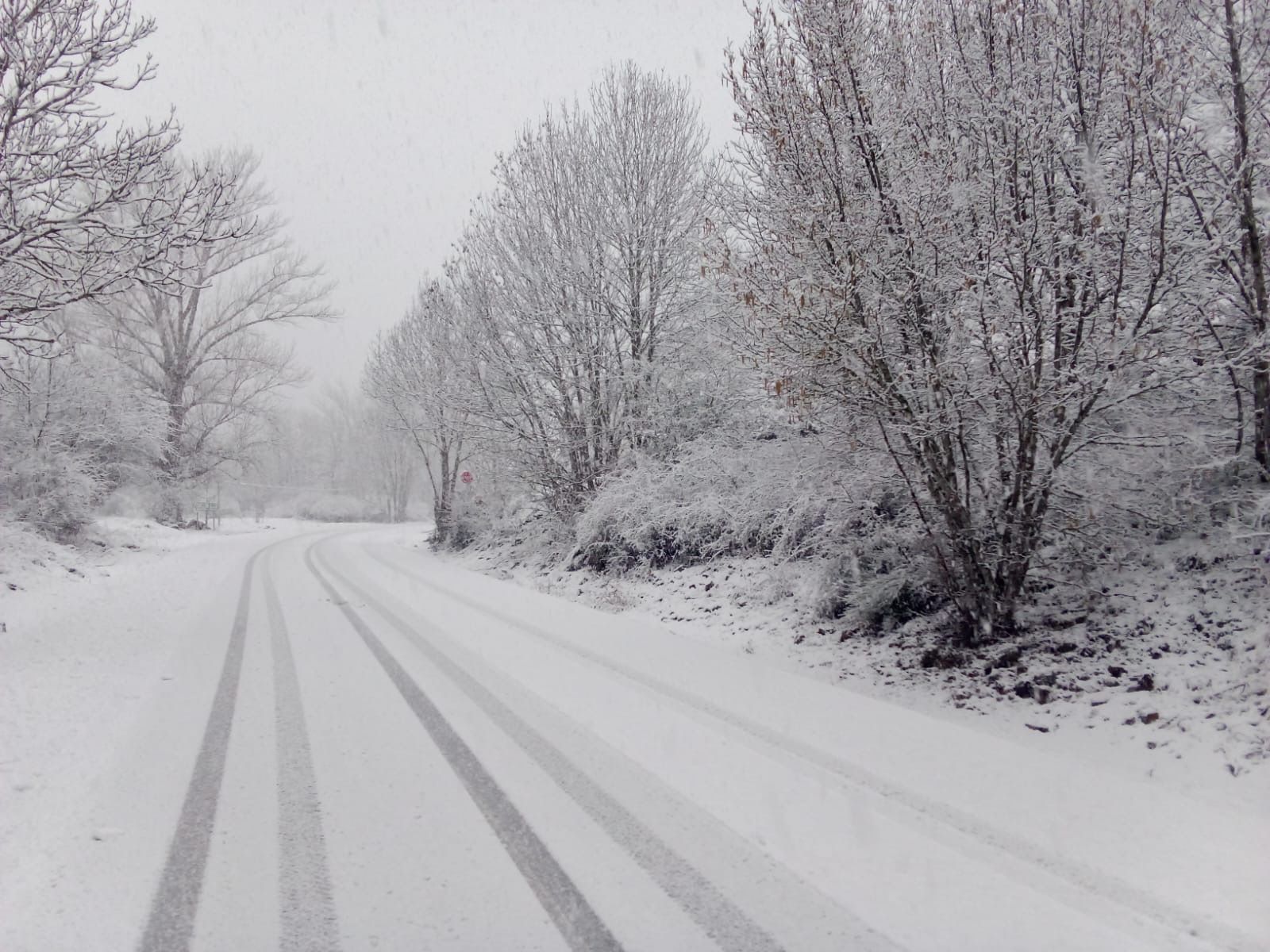 Nieve en la zona de Paradilla de Gordón este lunes. |L.N.C.