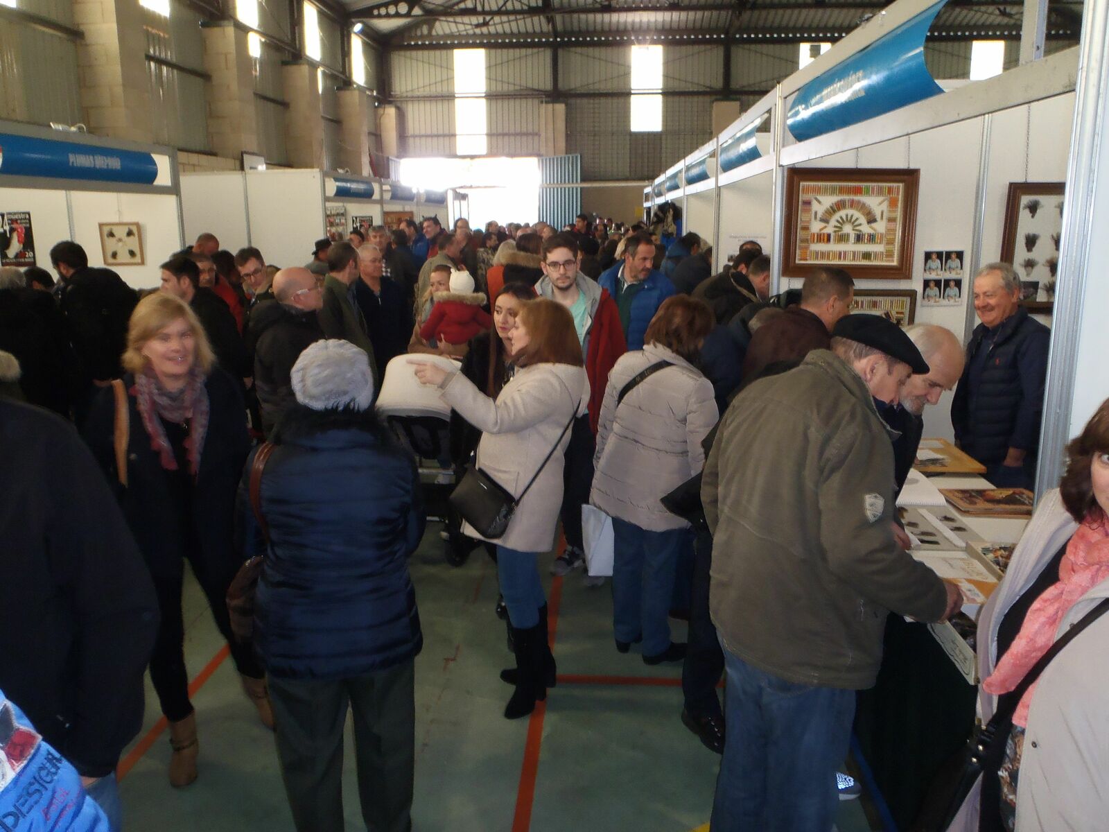 Imagen de la feria de Muestra de Gallos de Pluma y Mosca Artificial. | R.P.N.