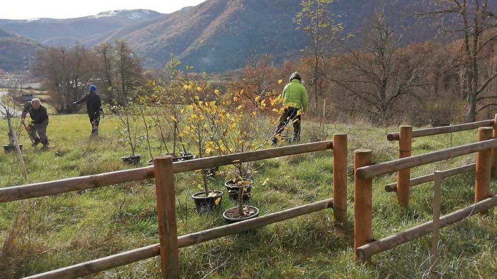 En la imagen, los trabajos de plantación y cercado realizados en ‘El bosque de los 5 sentidos’. | L5S