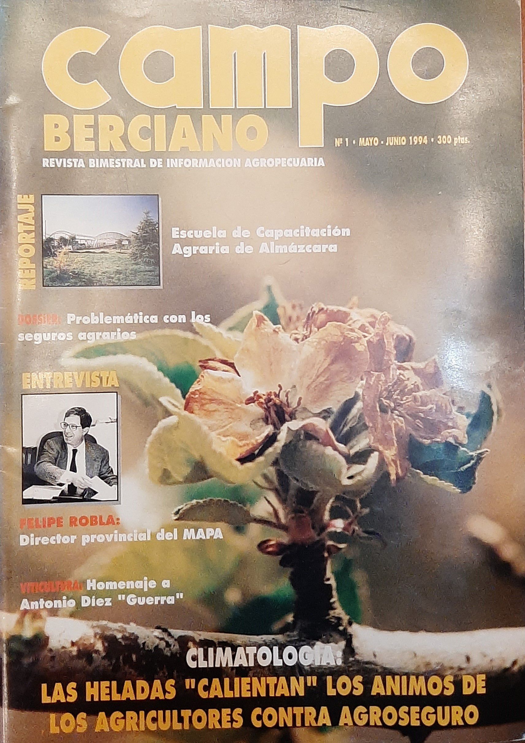 Primer número de campo berciano.