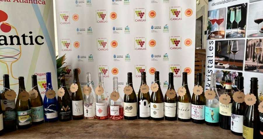 Vinos premiados en el concurso. | L.N.C.