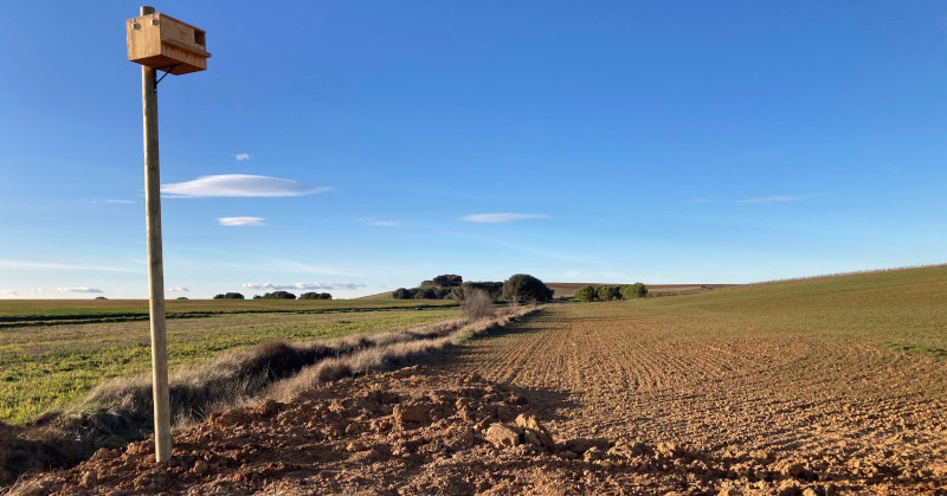 Caja nido para lechuza colocada por Grefa en pueblos de la provincia. | L.N.C.