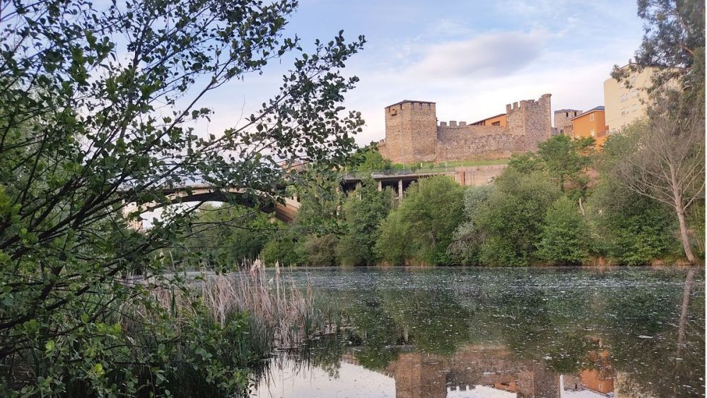Imagen de la zona del río Sil donde se había previsto la playa fluvial. | D.M.