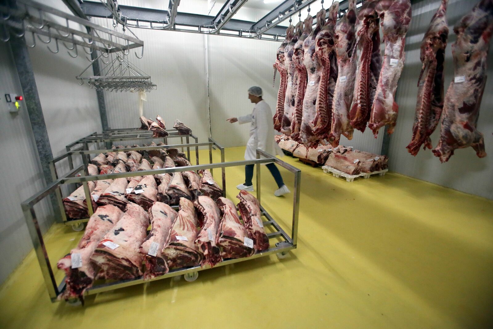 Costillares en el matadero de una empresa de ganadería tradicional. | Ical