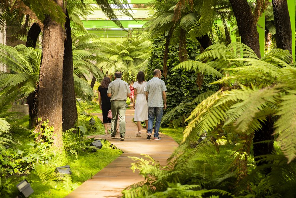 Visita al bosque del carbonífero. 