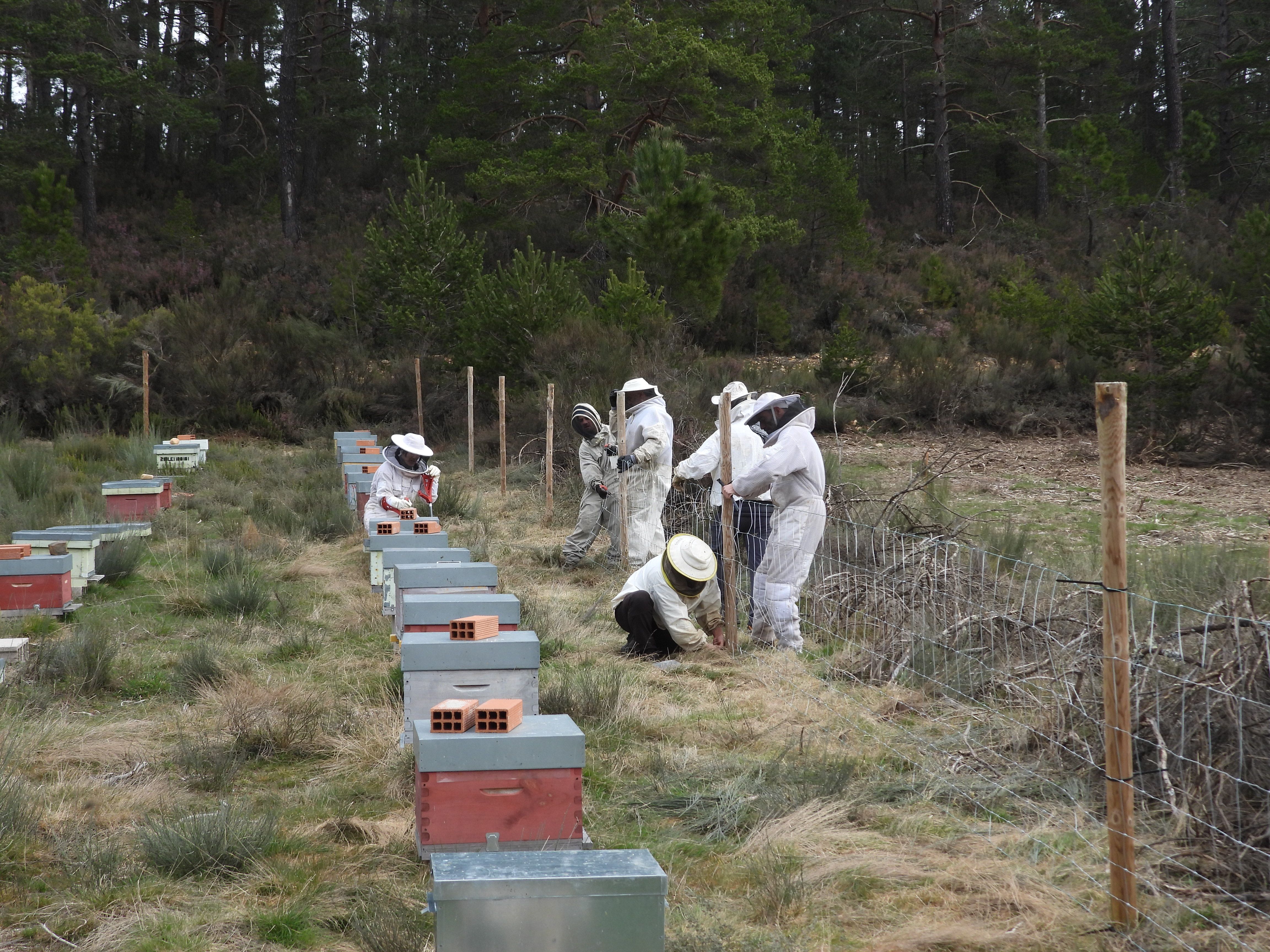 Los apicultores aprendieron a proteger sus colmenas de ataques. | L.N.C.
