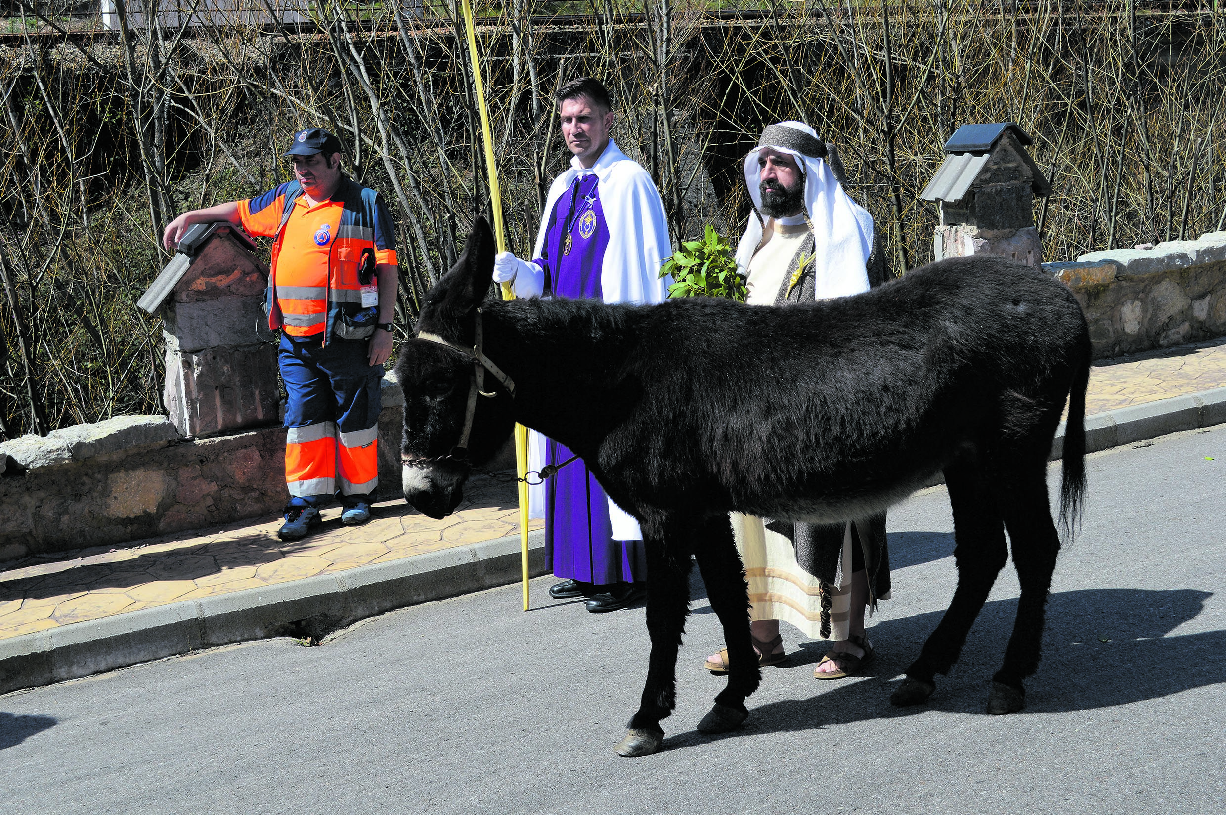 El Jesús de la procesión (Félix Hernández) camina al lado del burro llegado desde Cabornera, no fue posible entrar a lomos del animal. | F. FERNÁNDEZ