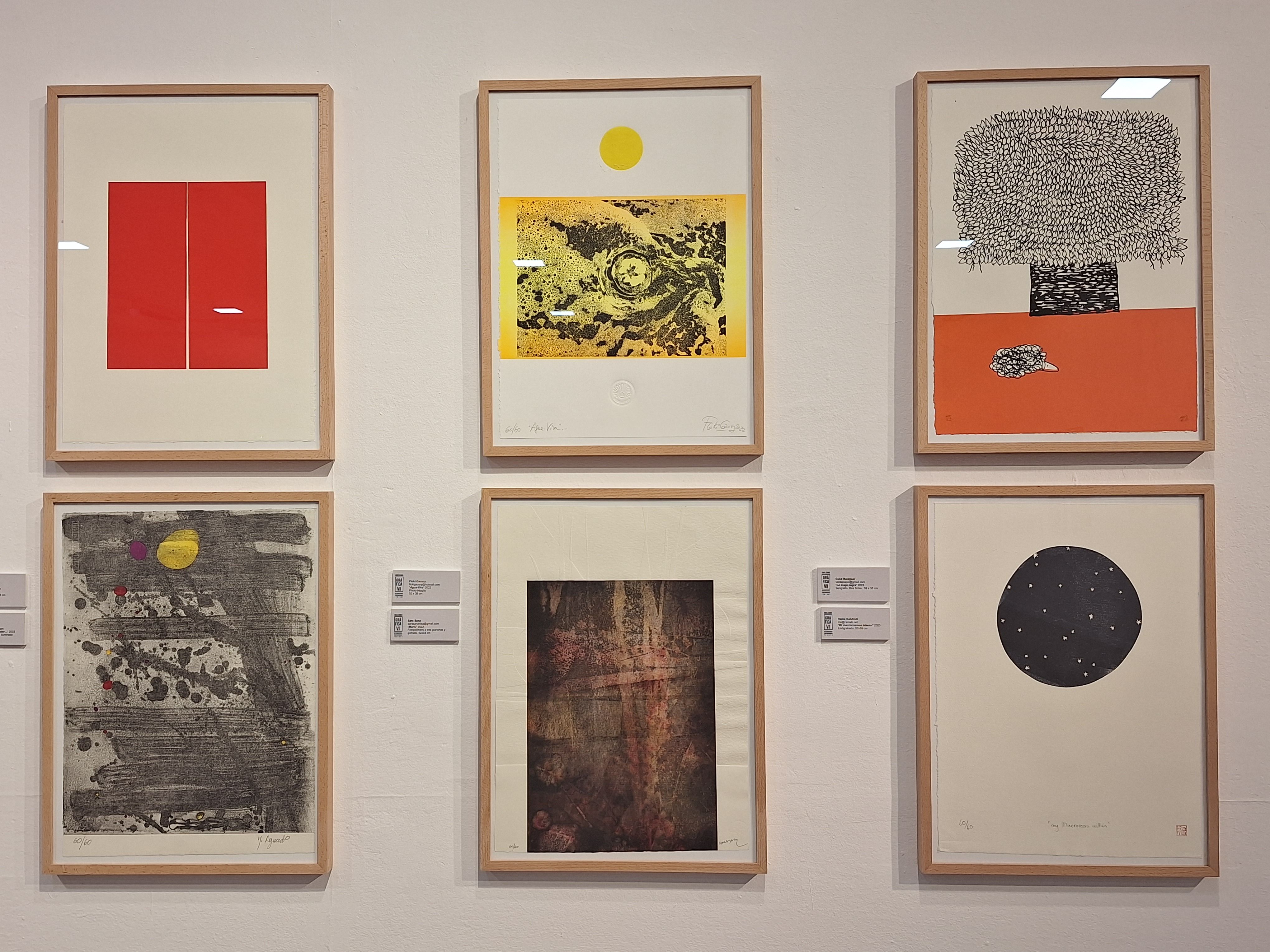 Varias piezas de la exposición colectiva ‘Amalgama gráfica contemporánea’, localizada en la Sala Provincia. | L.N.C.