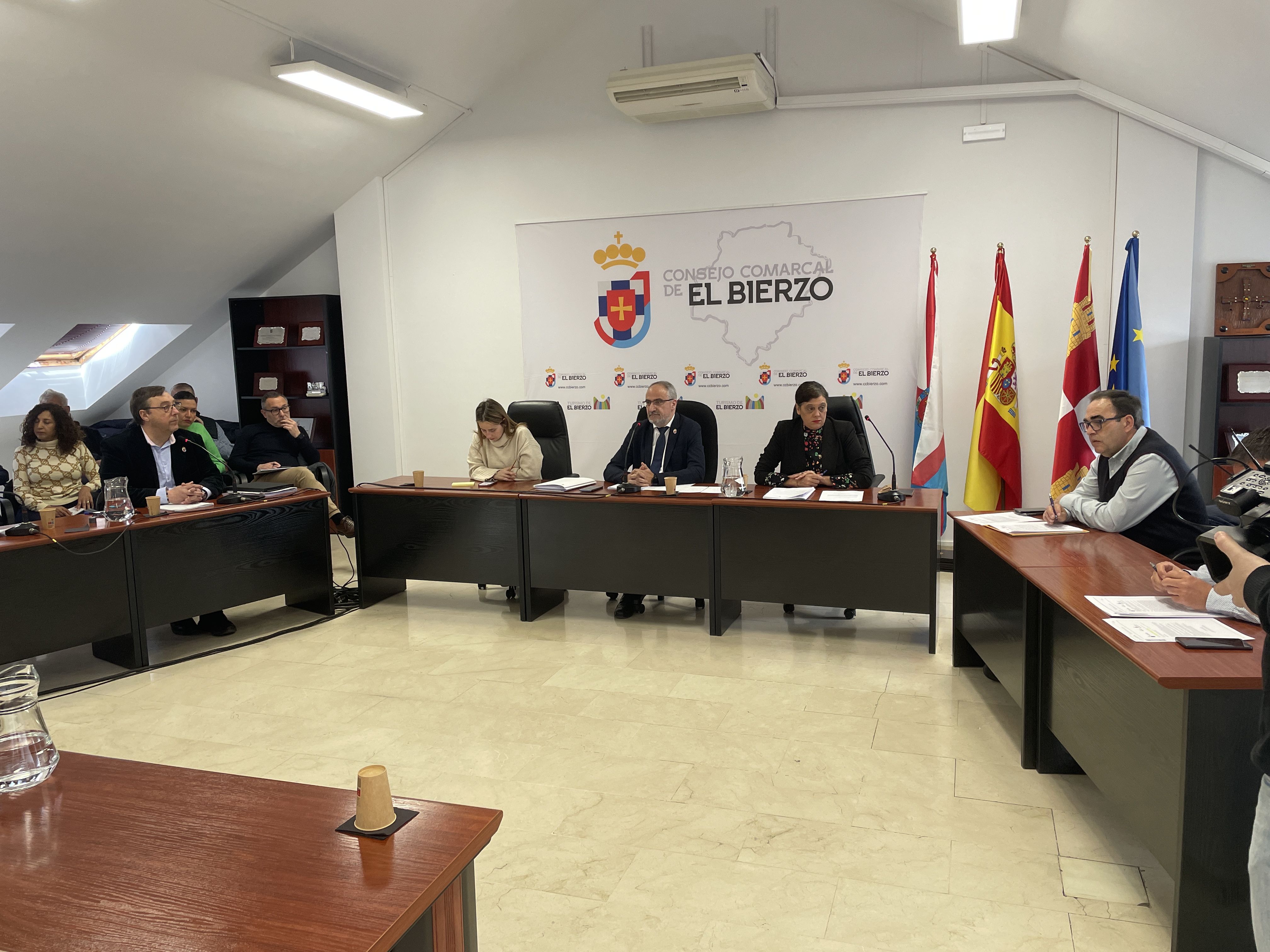 Pleno del Consejo Comarcal celebrado este martes. | Javier Fernández