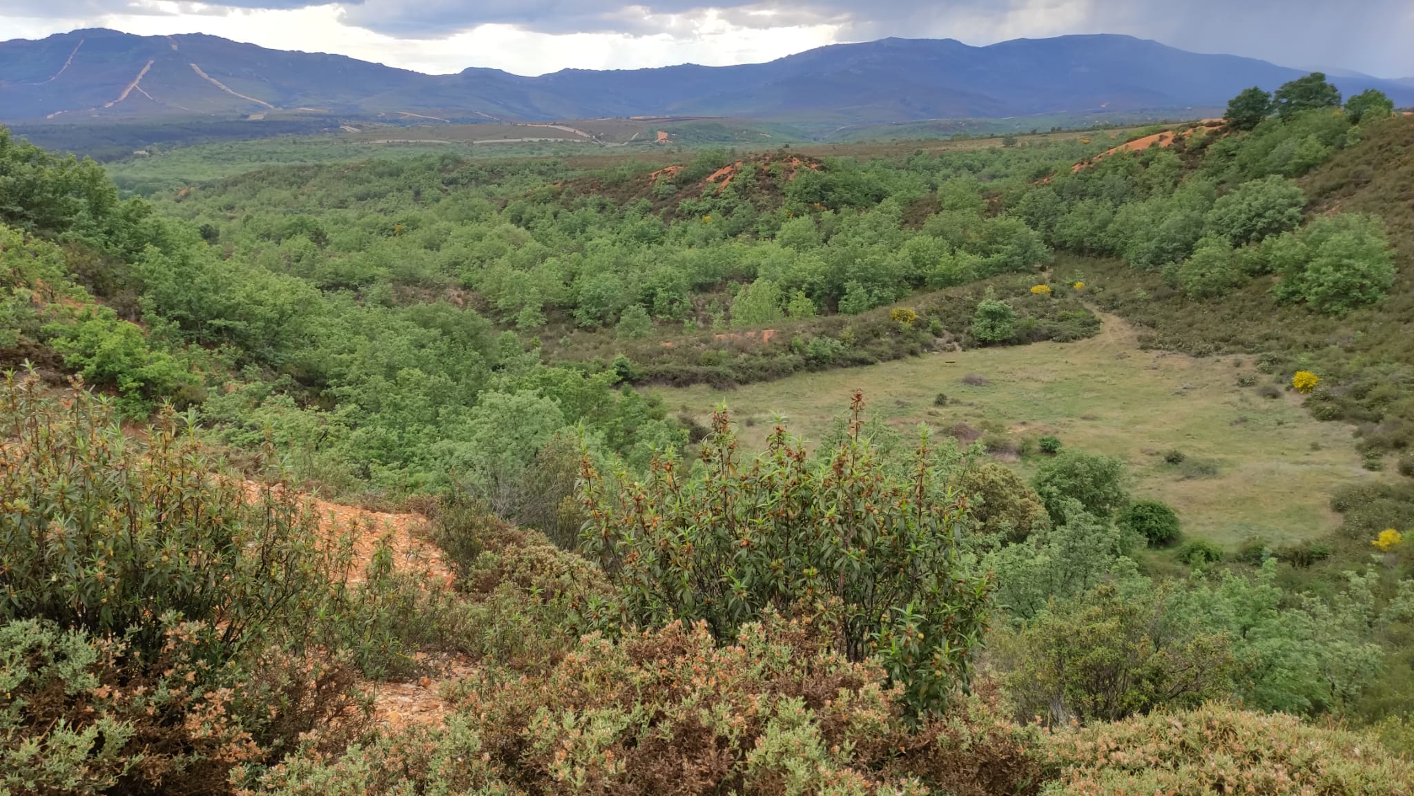 Montes del Teleno. |L.N.C.