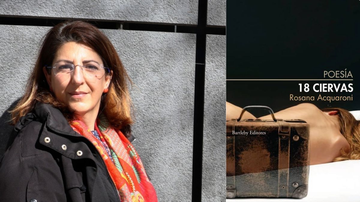 La escritora madrileña, Rosana Acquaroni, junto a la portada de su poemario '18 ciervas'. | L.N.C.
