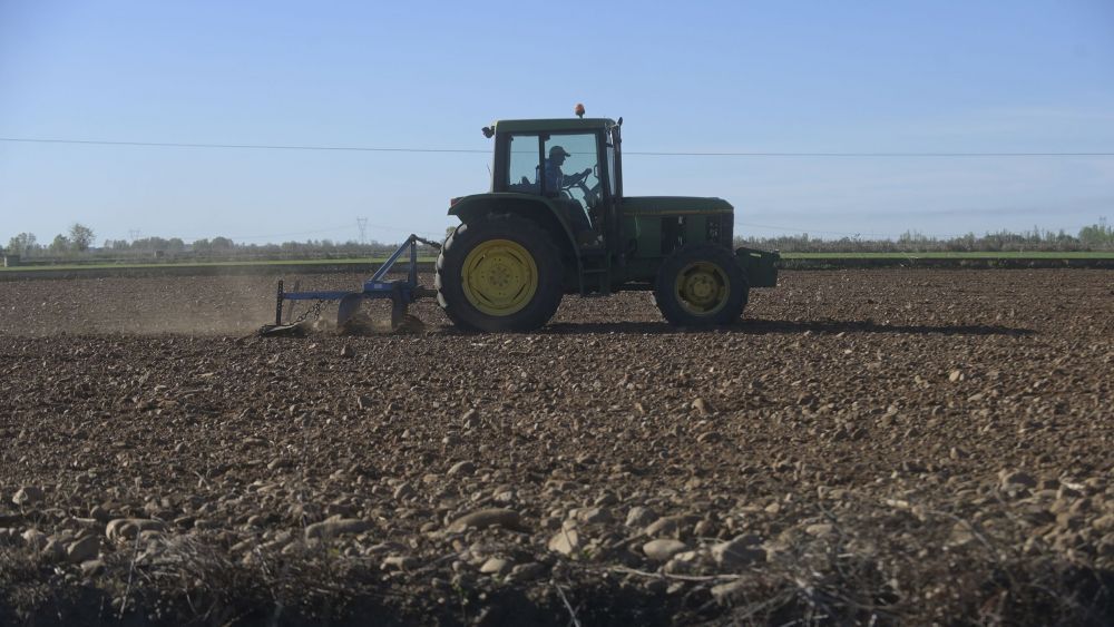 Imagen de archivo de tierras destinadas al cultivo. | JESÚS F. SALVADORES