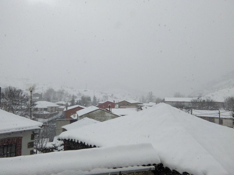 253265381.jpg