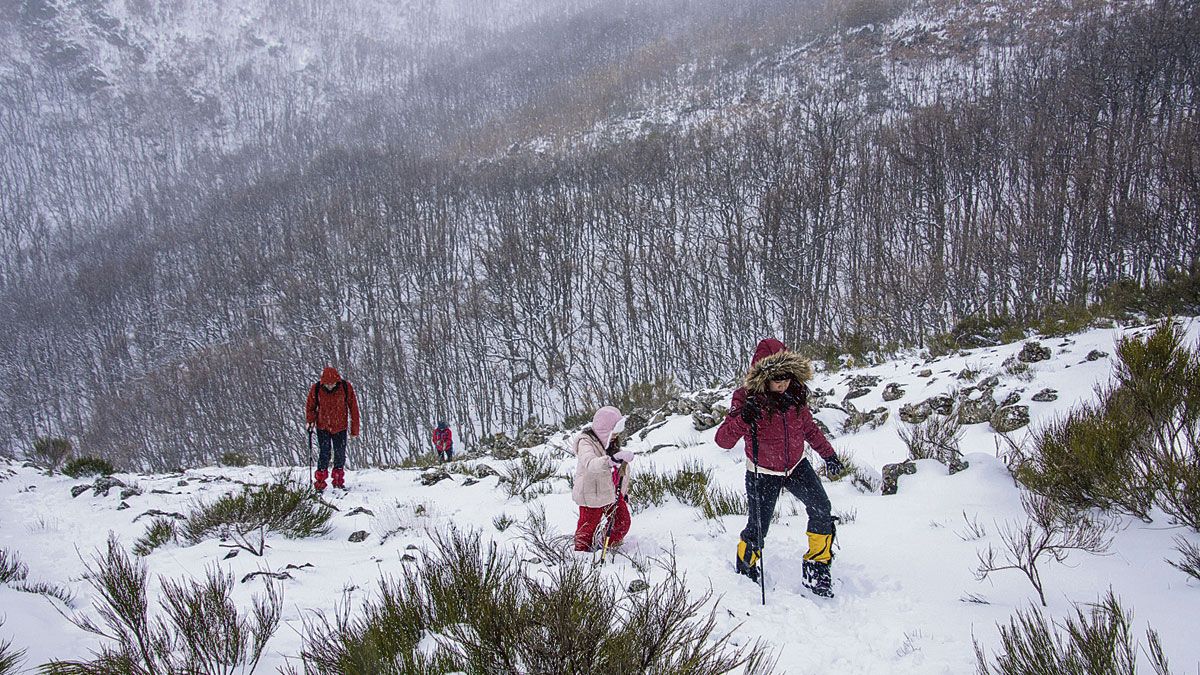 Llegando a la loma del bosque en un paisaje nevado. | VICENTE GARCÍA