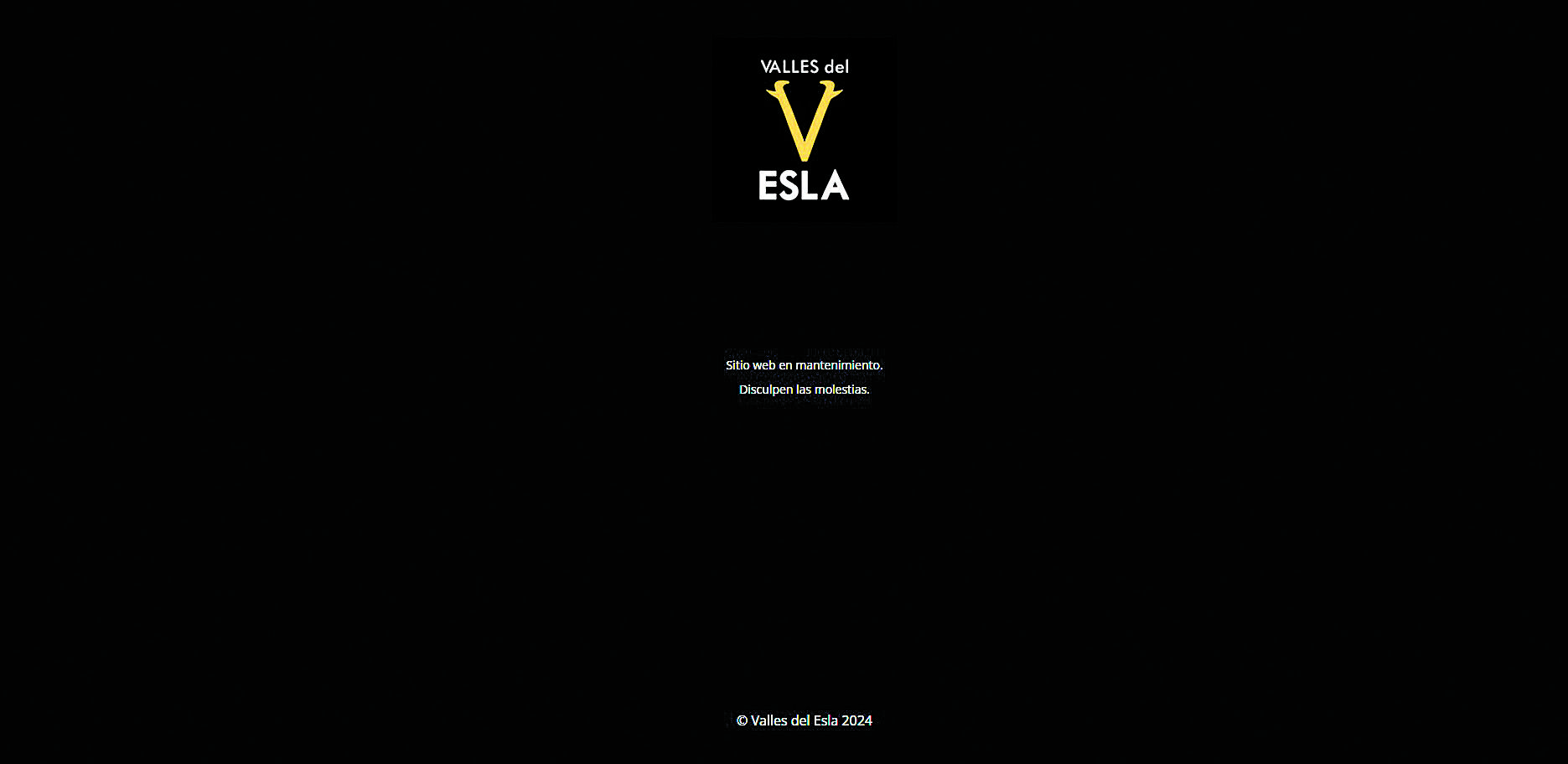 Imagen que presentaba este domingo la página web de Valles del Esla. | L.N.C.