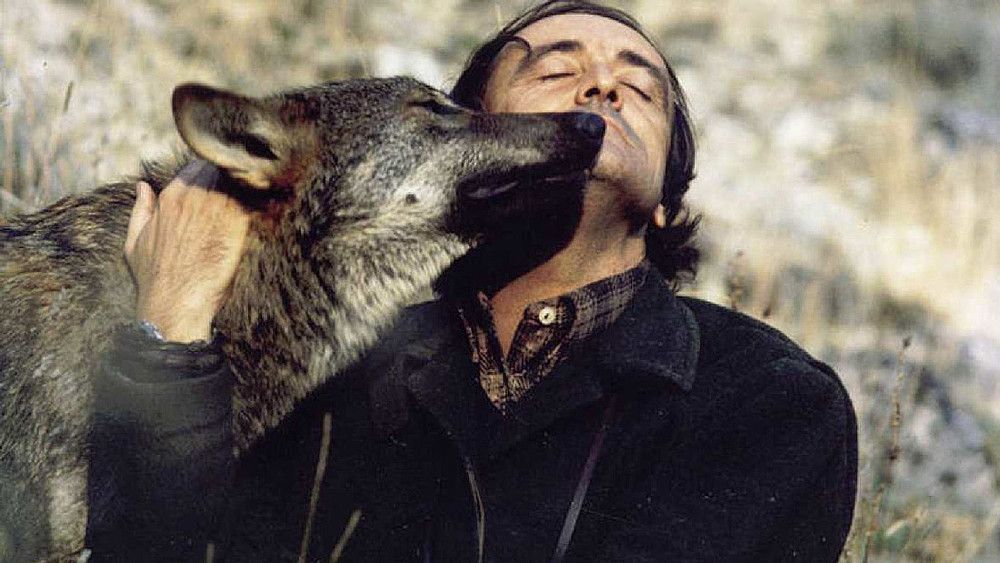 Félix Rodríguez de la Fuente logró que un animal tan mal visto como el lobo cayera simpático. | RTVE