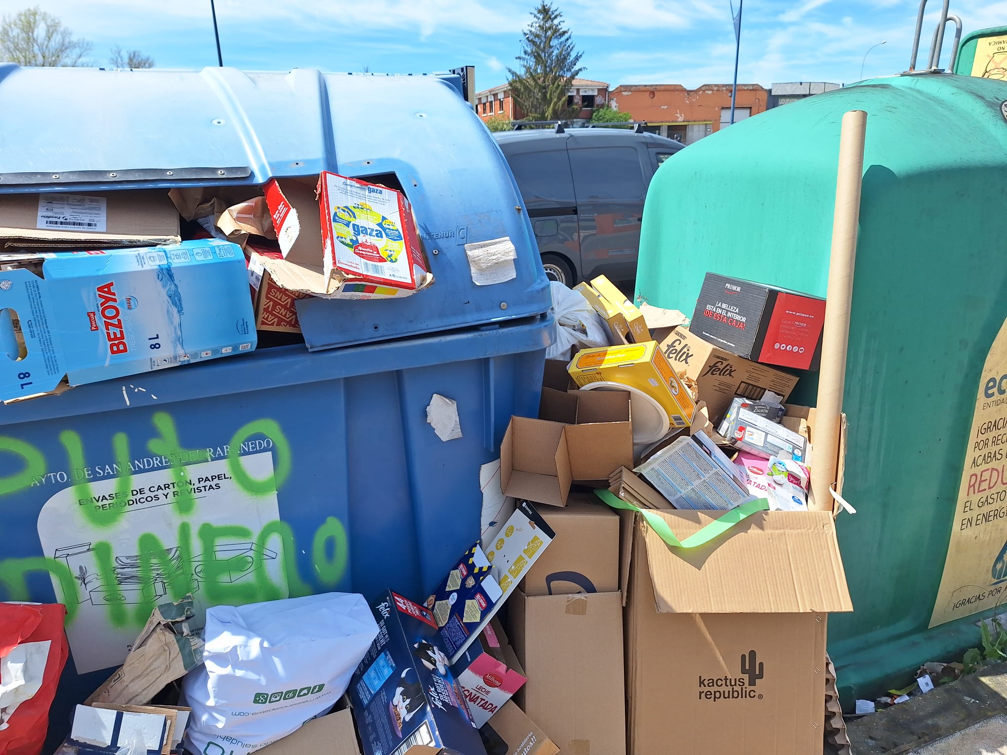 Residuos acumulados junto a los contenedores en el municipio. | L.N.C.