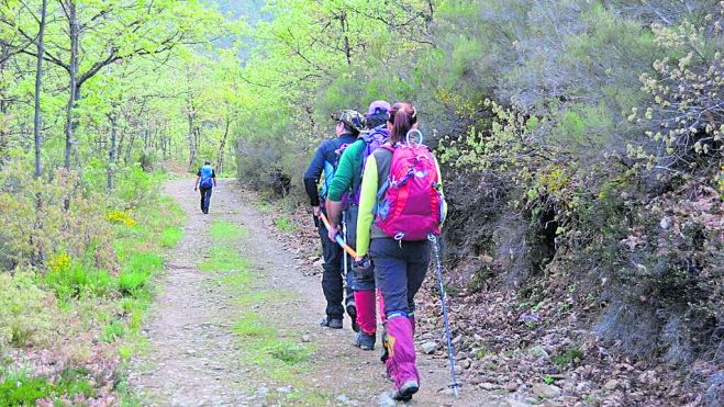 Imagen 01 El comienzo se hace por un buen camino (MF) Imagen 01 El comienzo se hace por un buen camino (MF)