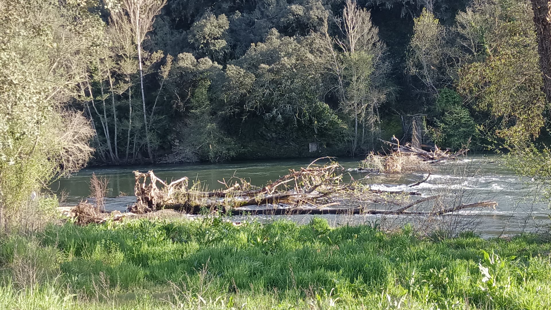 Estado actual del puente colgante Valiña, sumergido en el agua. Estado actual del puente colgante Valiña, sumergido en el agua.