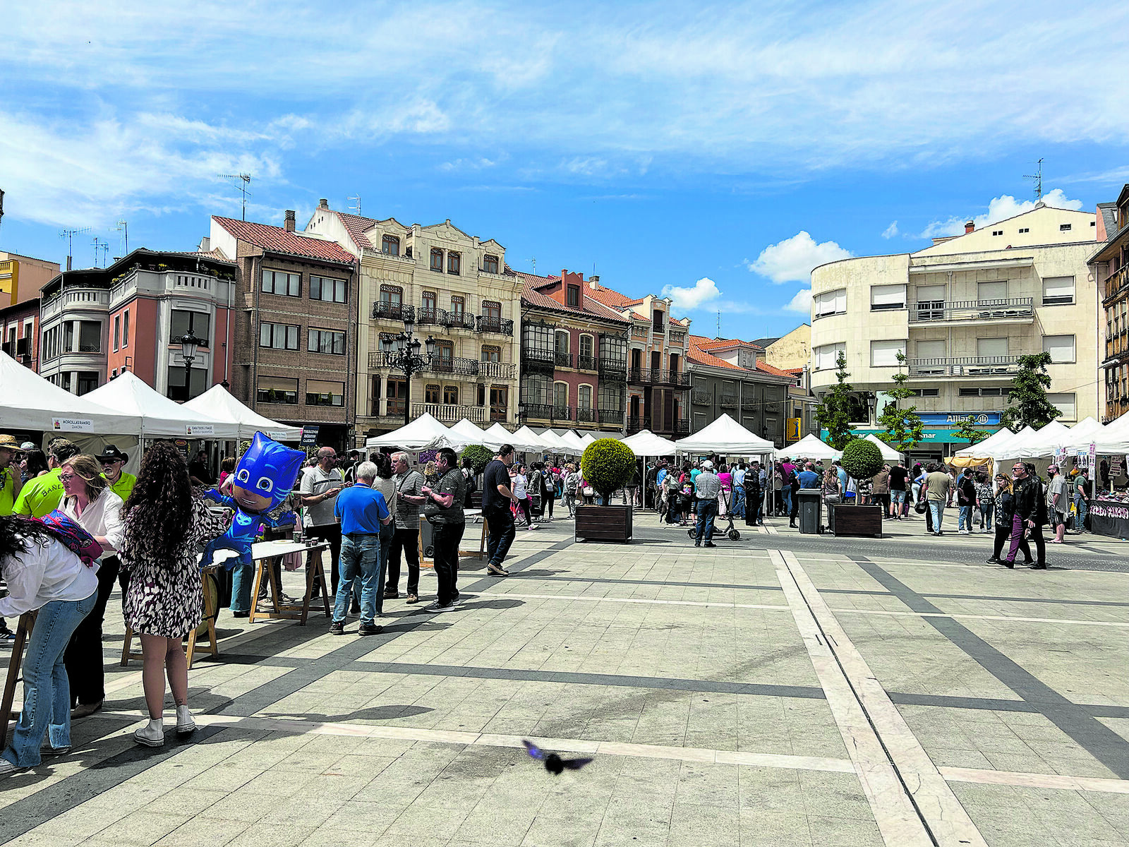 La muestra se celebra en la Plaza Mayor hasta el próximo domingo. | ABAJO