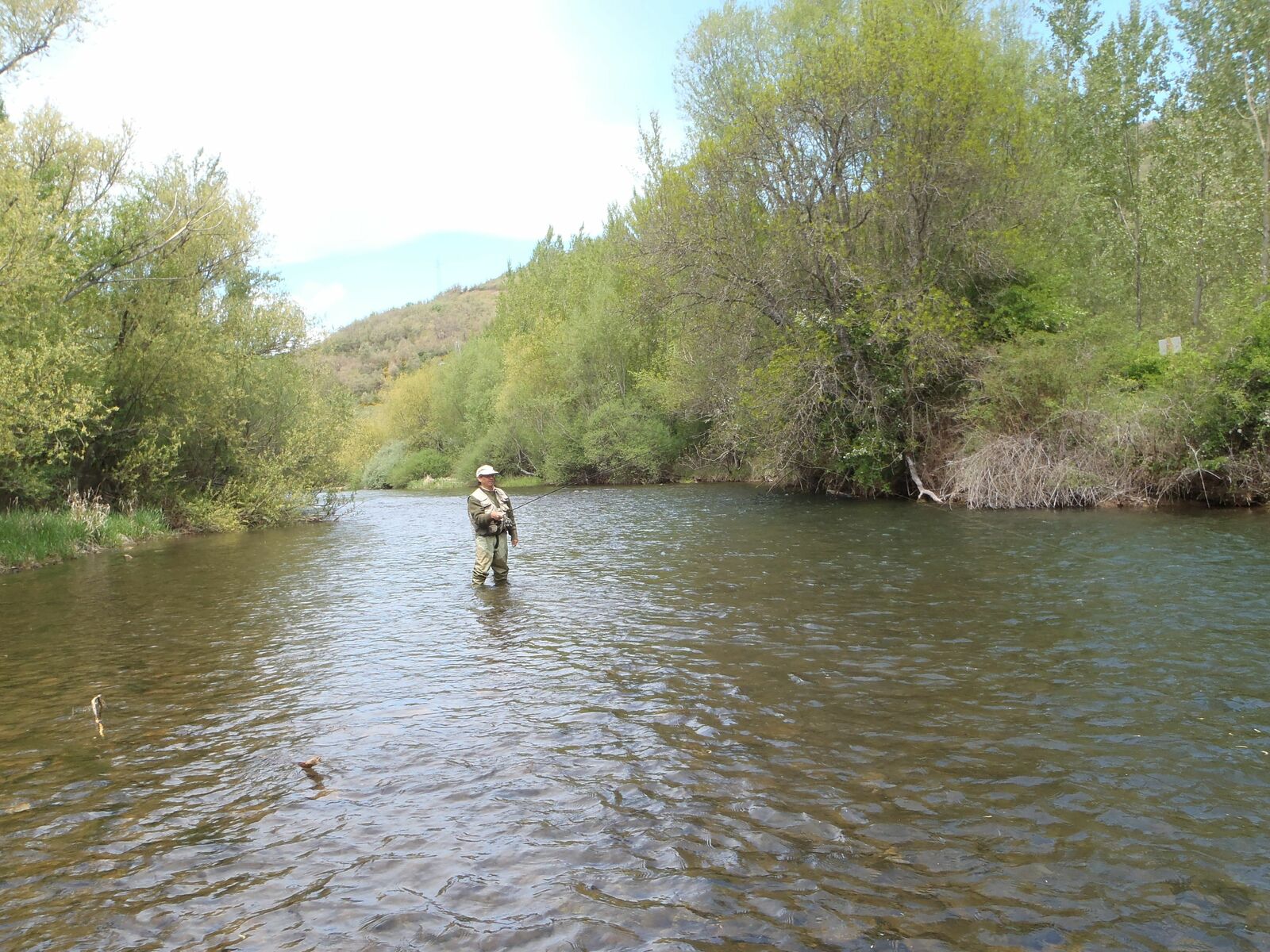 Imagen de un pescador en el río Luna, uno de los que mejor está funcionando en el arranque de temporada. | R.P.N.