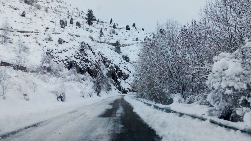 La nieve puede alcanzar acumulaciones de hasta cinco centímetrso. | L.N.C.