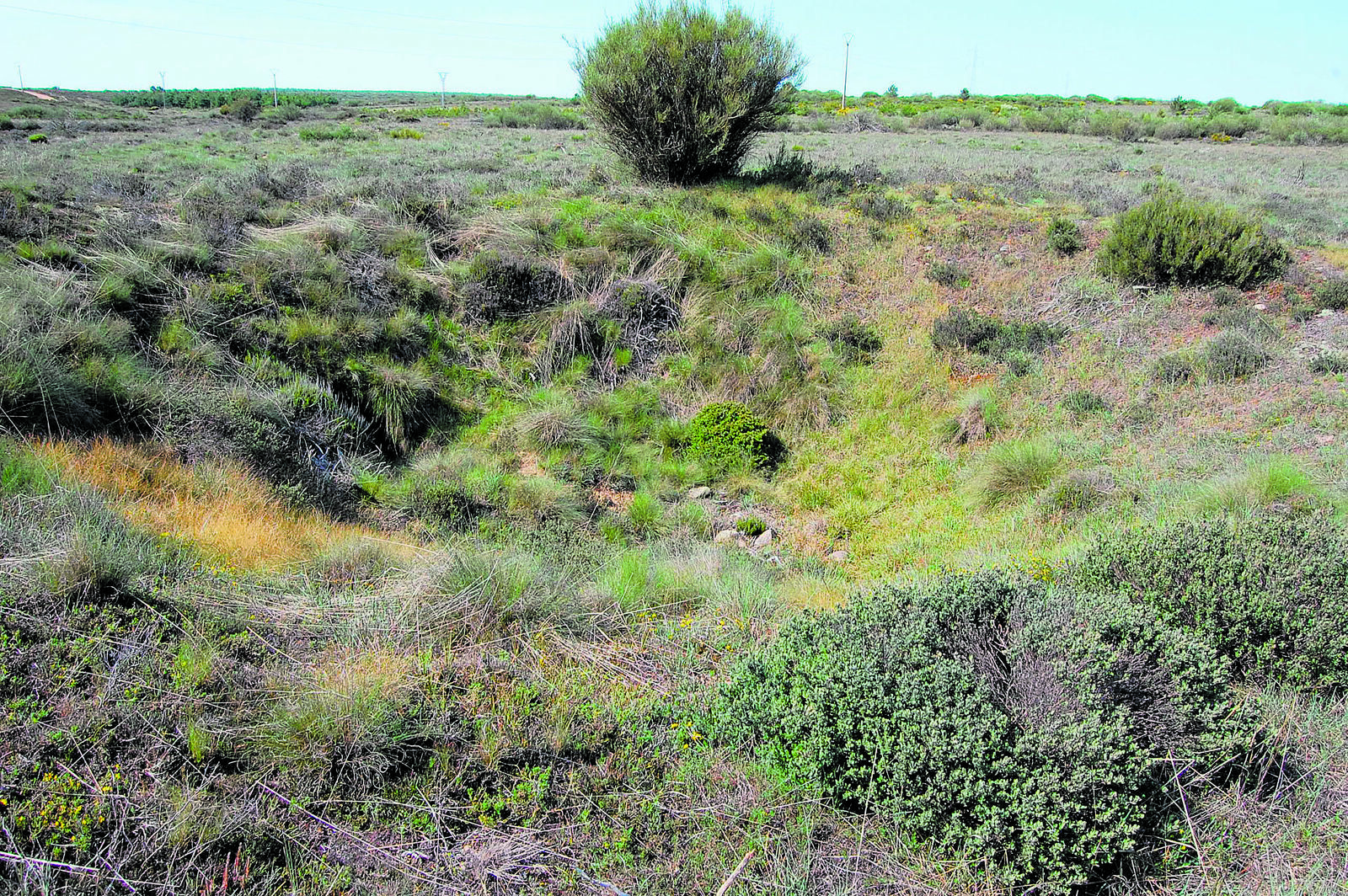 Imagen de uno de ‘los pozos’ y foto aérea que recoge marcada la ubicación de todos los pozos. | MENURIL