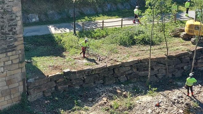 Trabajos de limpieza que se encuentran en desarrollo. Trabajos de limpieza que se encuentran en desarrollo.