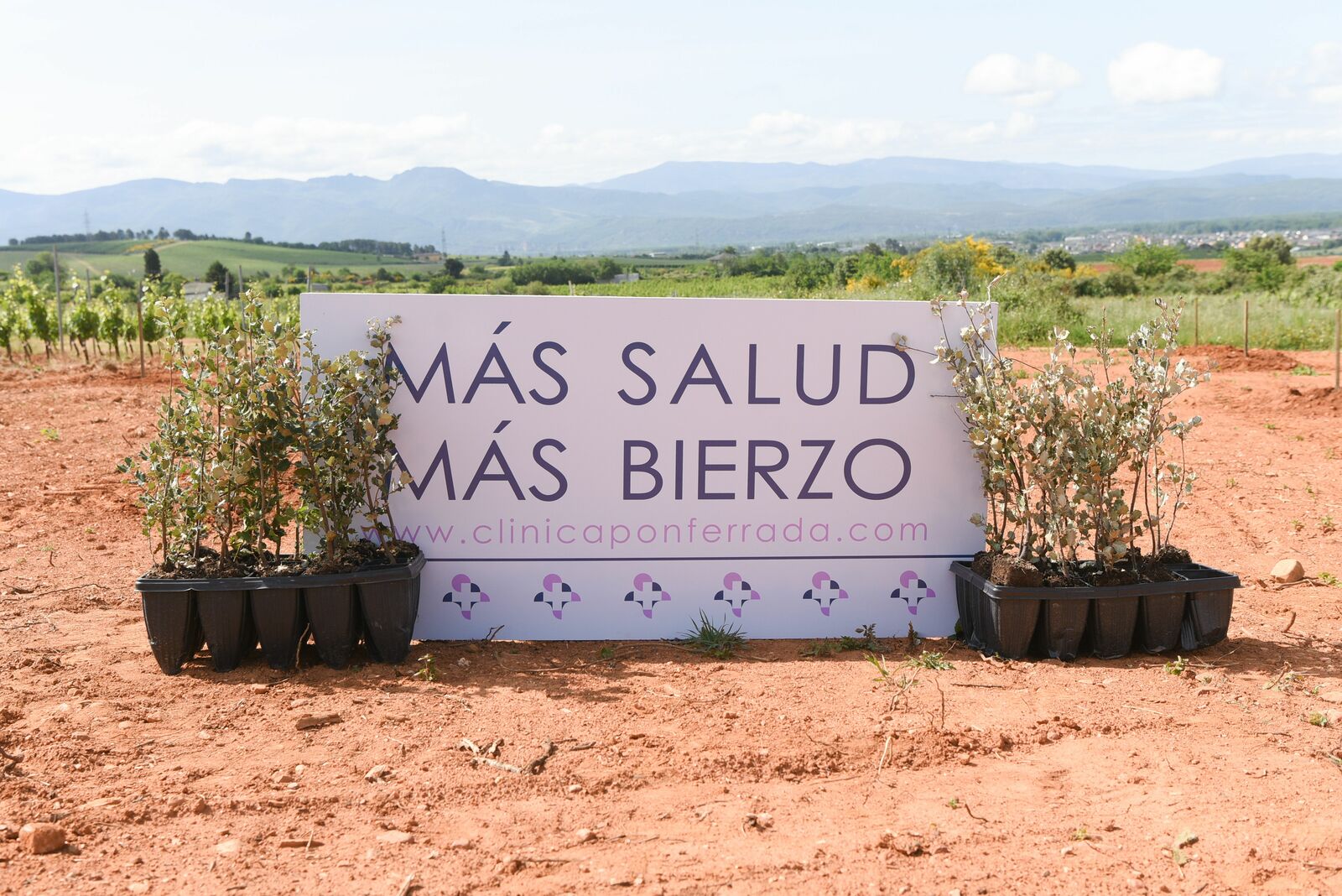 Los árboles esperando a ser plantados en el bosque de Prada.