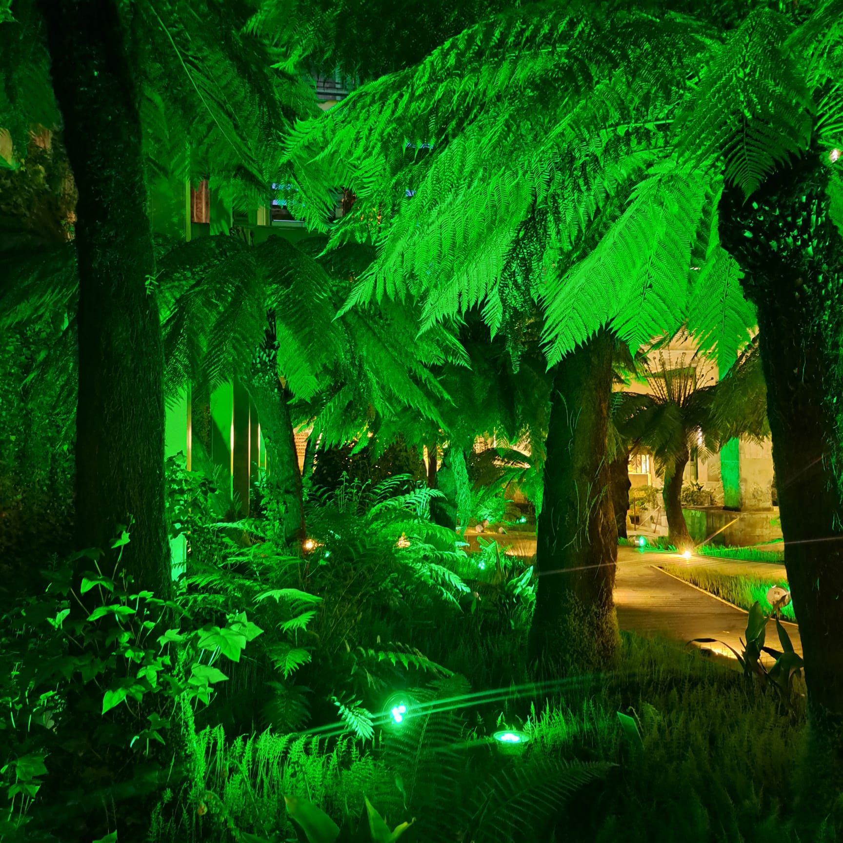 Fotografía del Fuego Verde que se visitará en La Térmica Cultural por la noche.