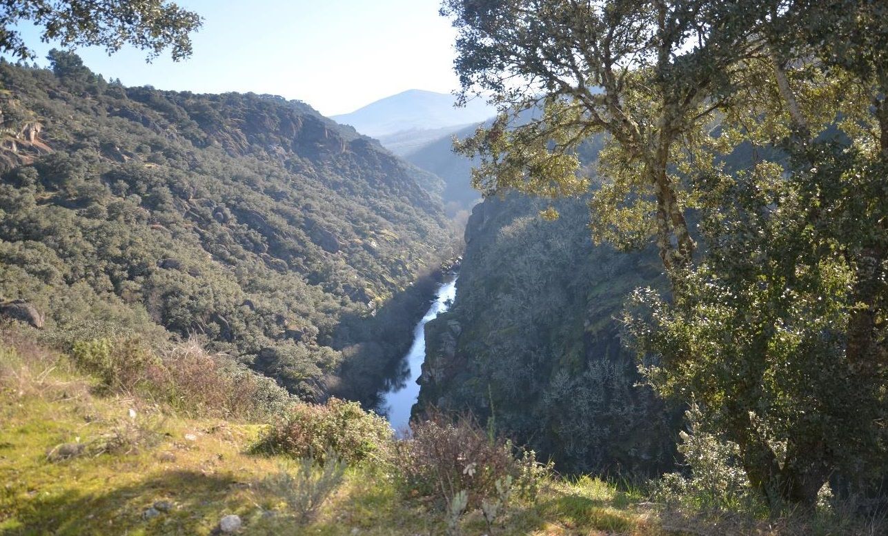 Cañón del río Boeza.