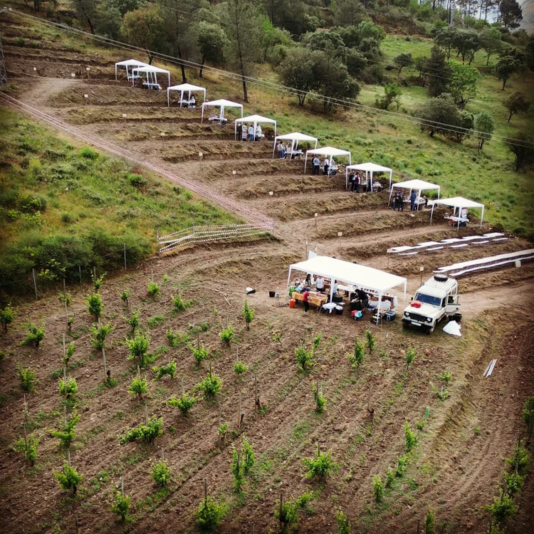 Primer Festival Vignerons que ahora se recupera en su segunda edición. 