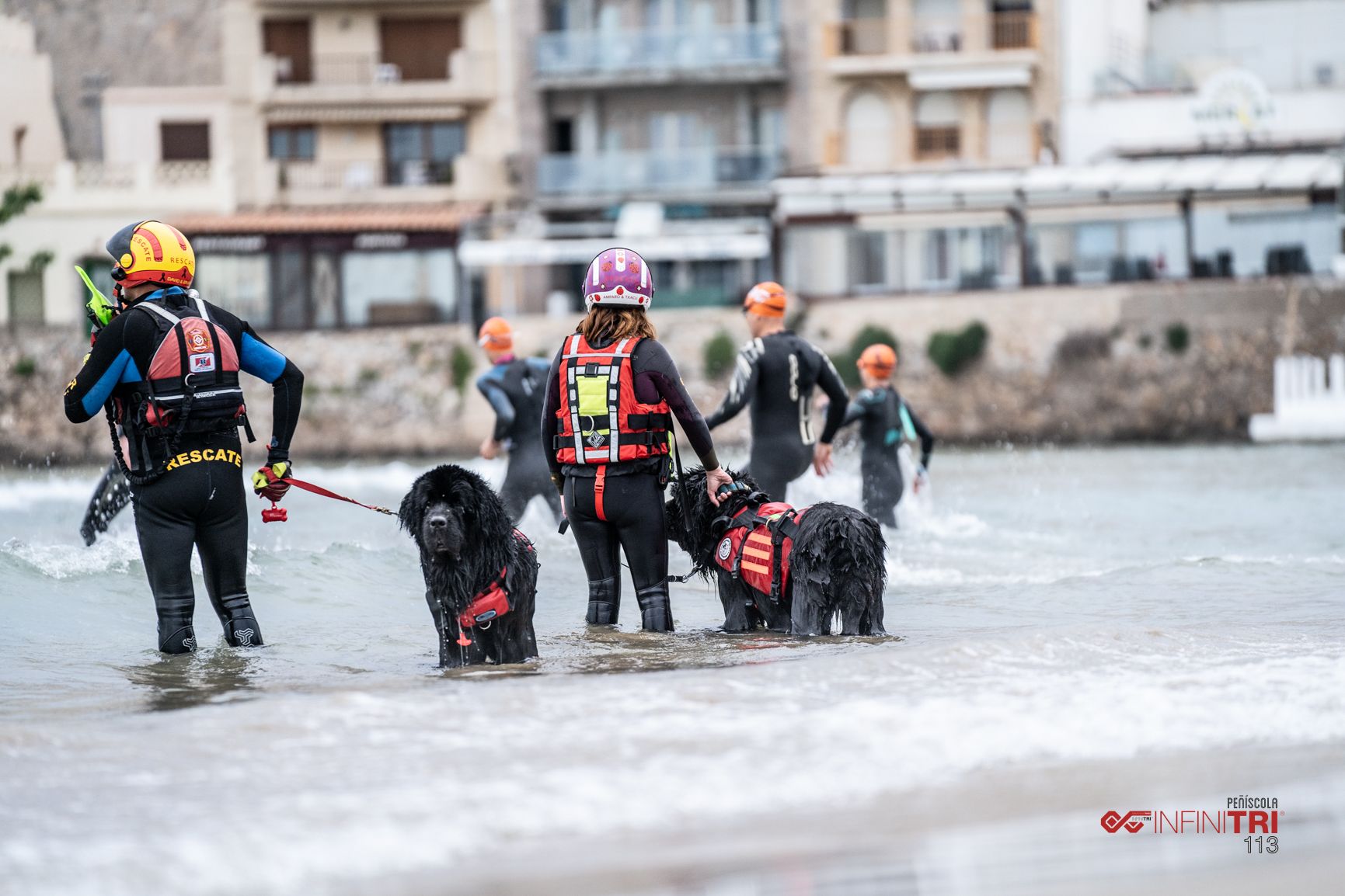 Los perros de rescate leoneses participan en el Campeonato de Surf para Perros. | JESÚS CALVO