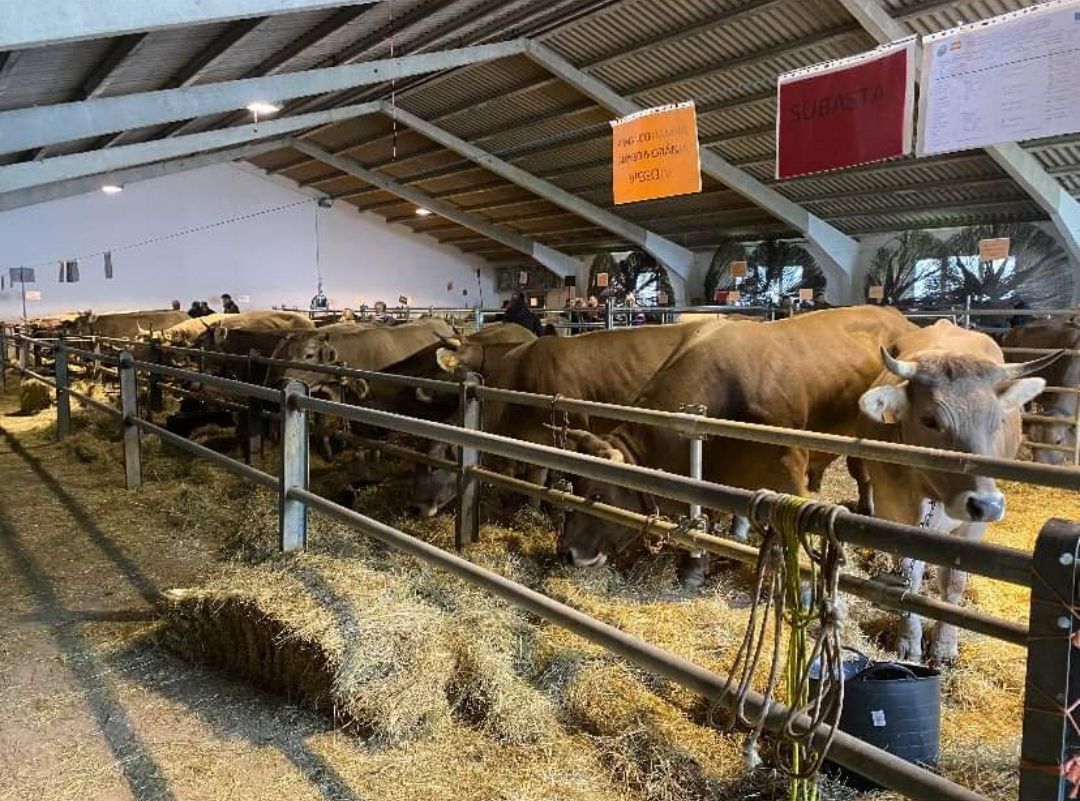 Vista general del recinto ferial de Puebla de Lillo este sábado. | ARMANDO ALONSO