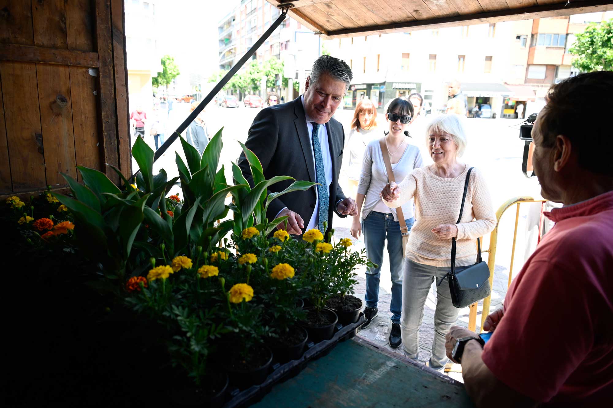 Se prevé entregar 2.000 plantas. | SAÚL ARÉN