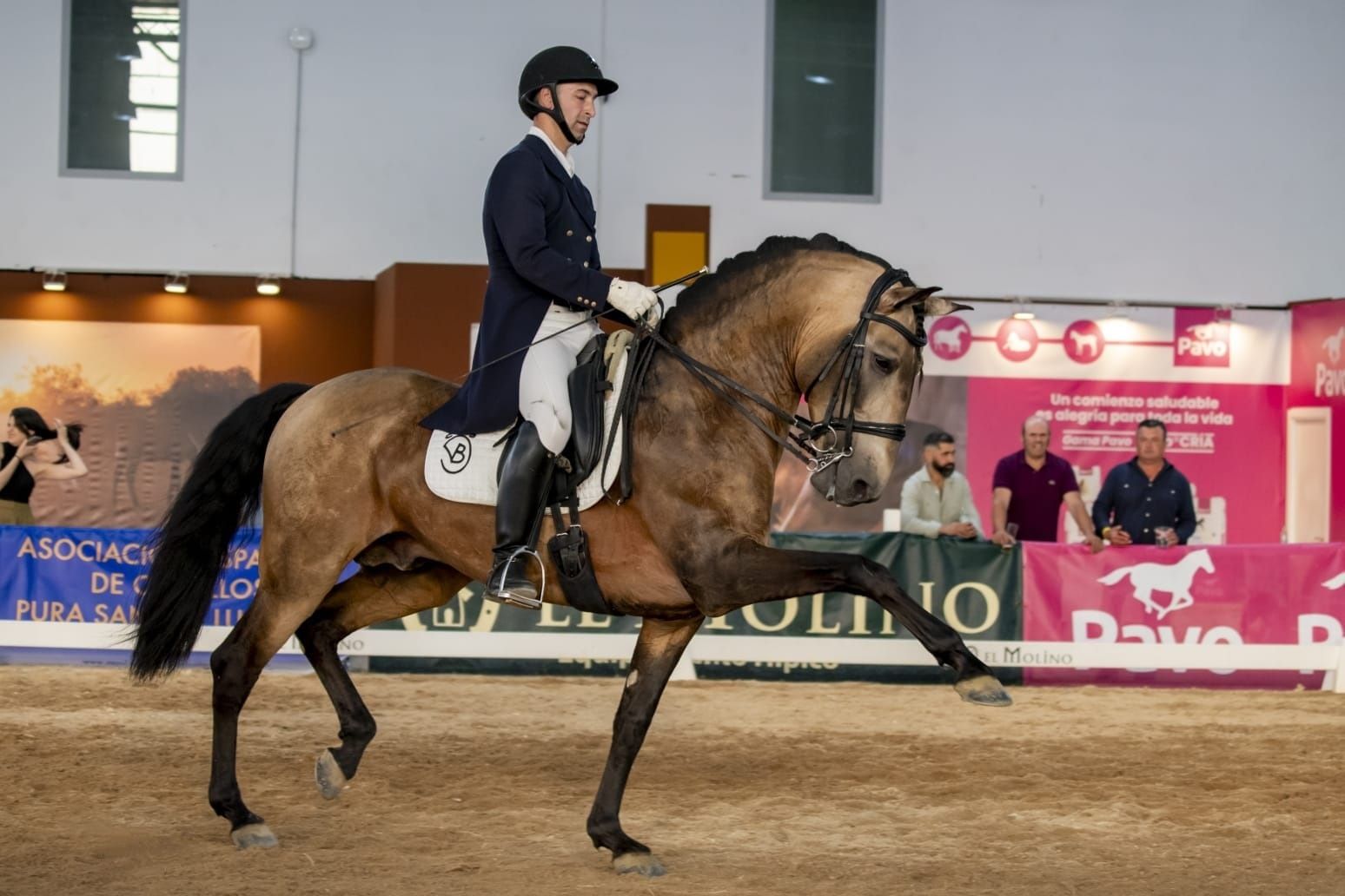 El jinete Joshua Vega a lomos de su caballo de pura raza lusitana Mistral en la Feria del Caballo y el Toro de Badajoz. | MARÍA GÓMEZ