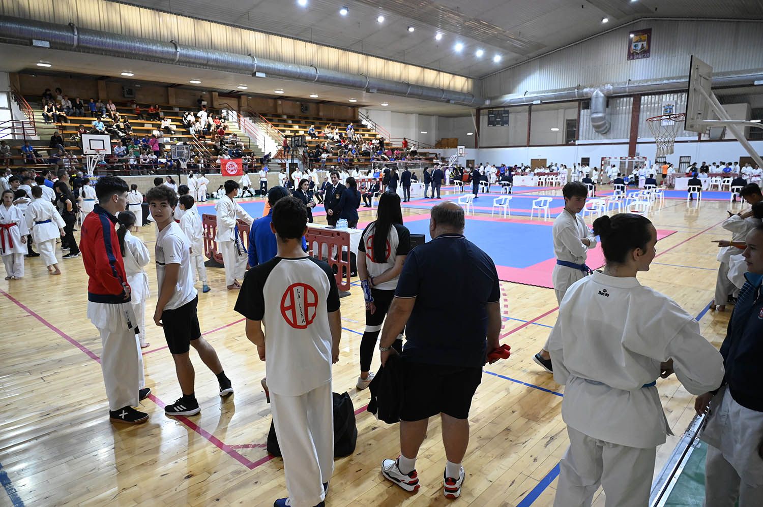Imagen de la competición de kárate