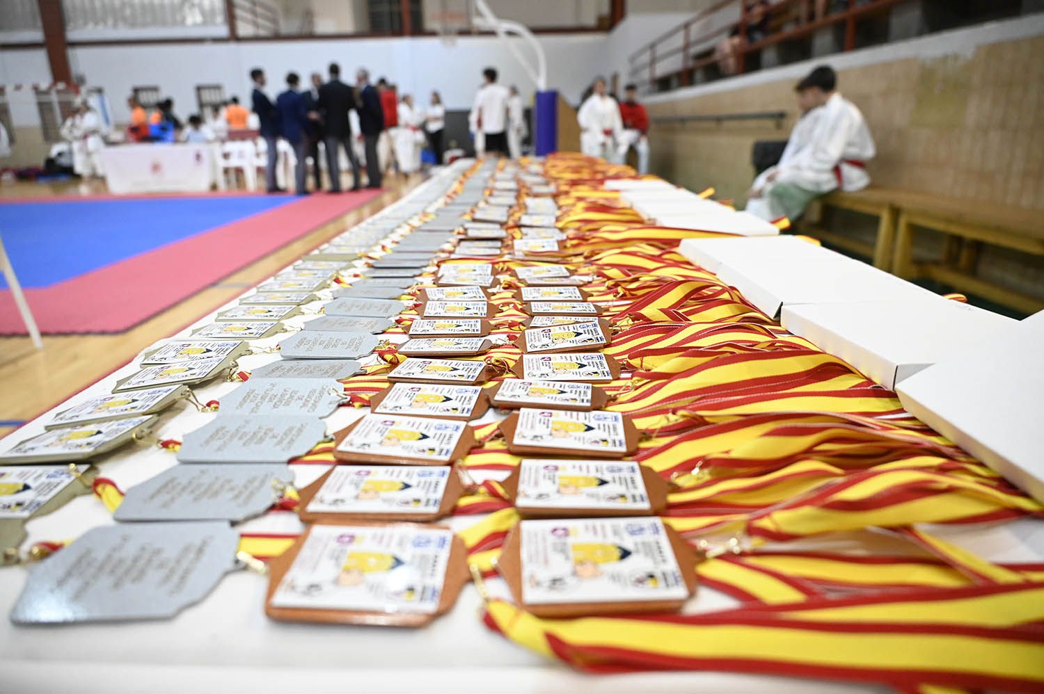 Imagen de la competición de kárate