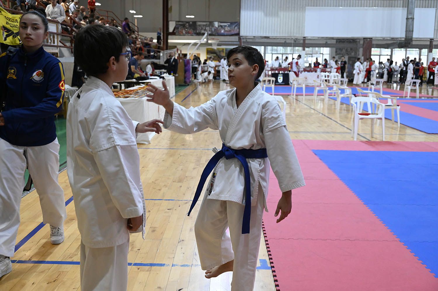 Imagen de la competición de kárate