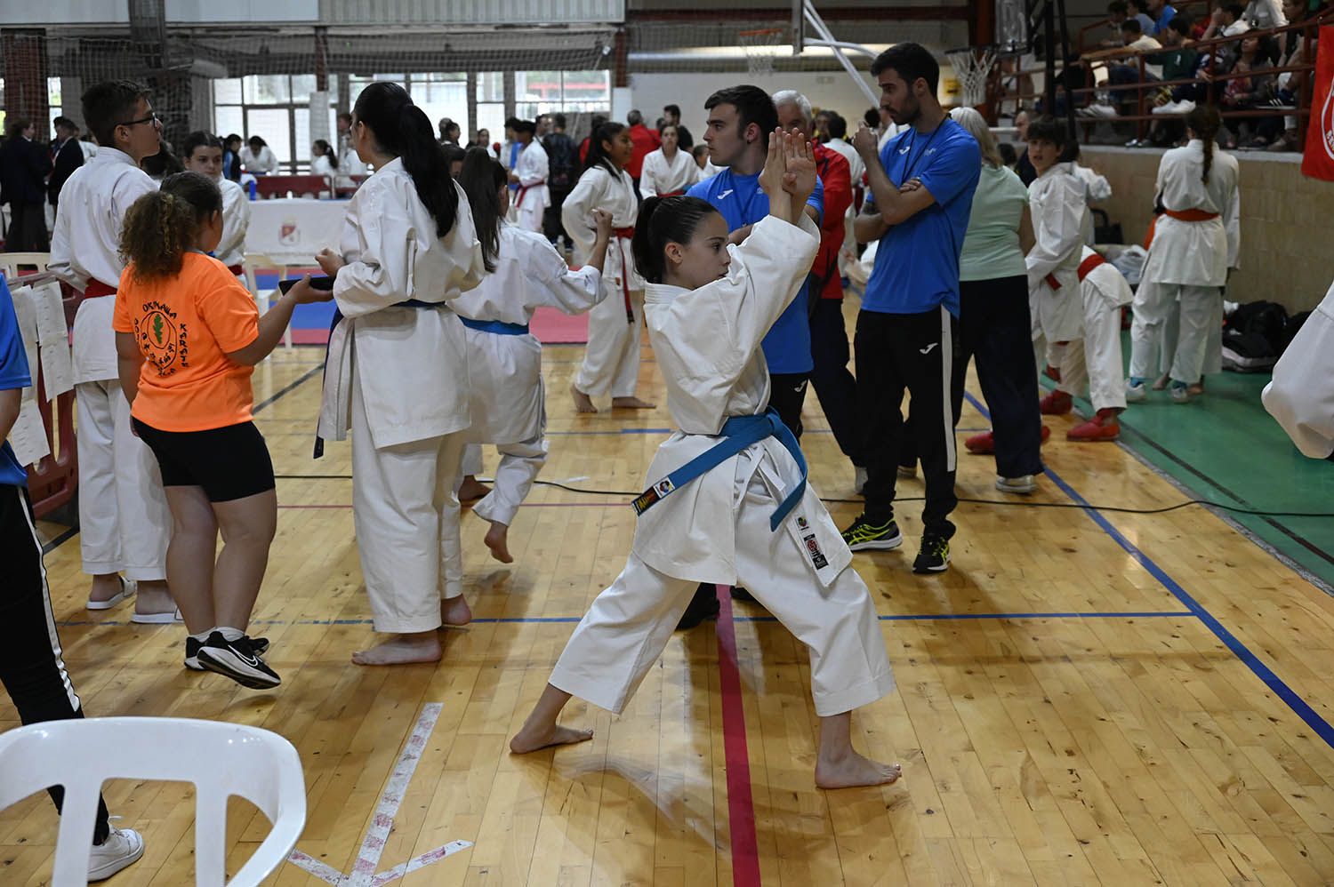 Imagen de la competición de kárate