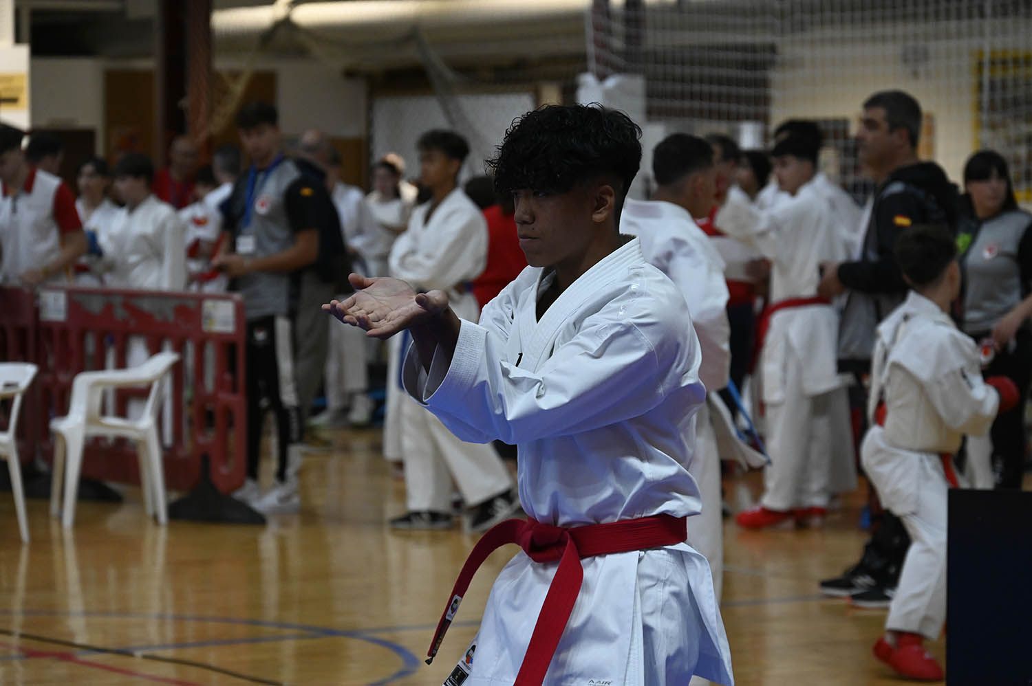 Imagen de la competición de kárate