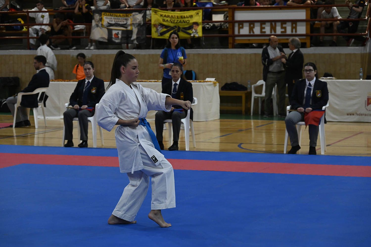 Imagen de la competición de kárate