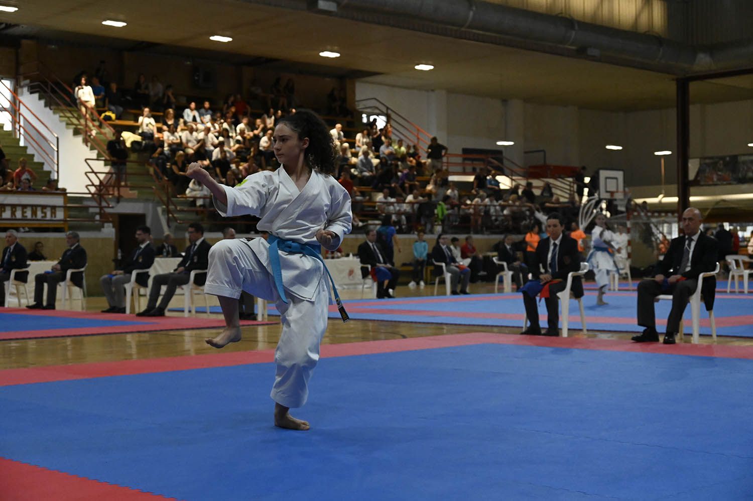 Imagen de la competición de kárate
