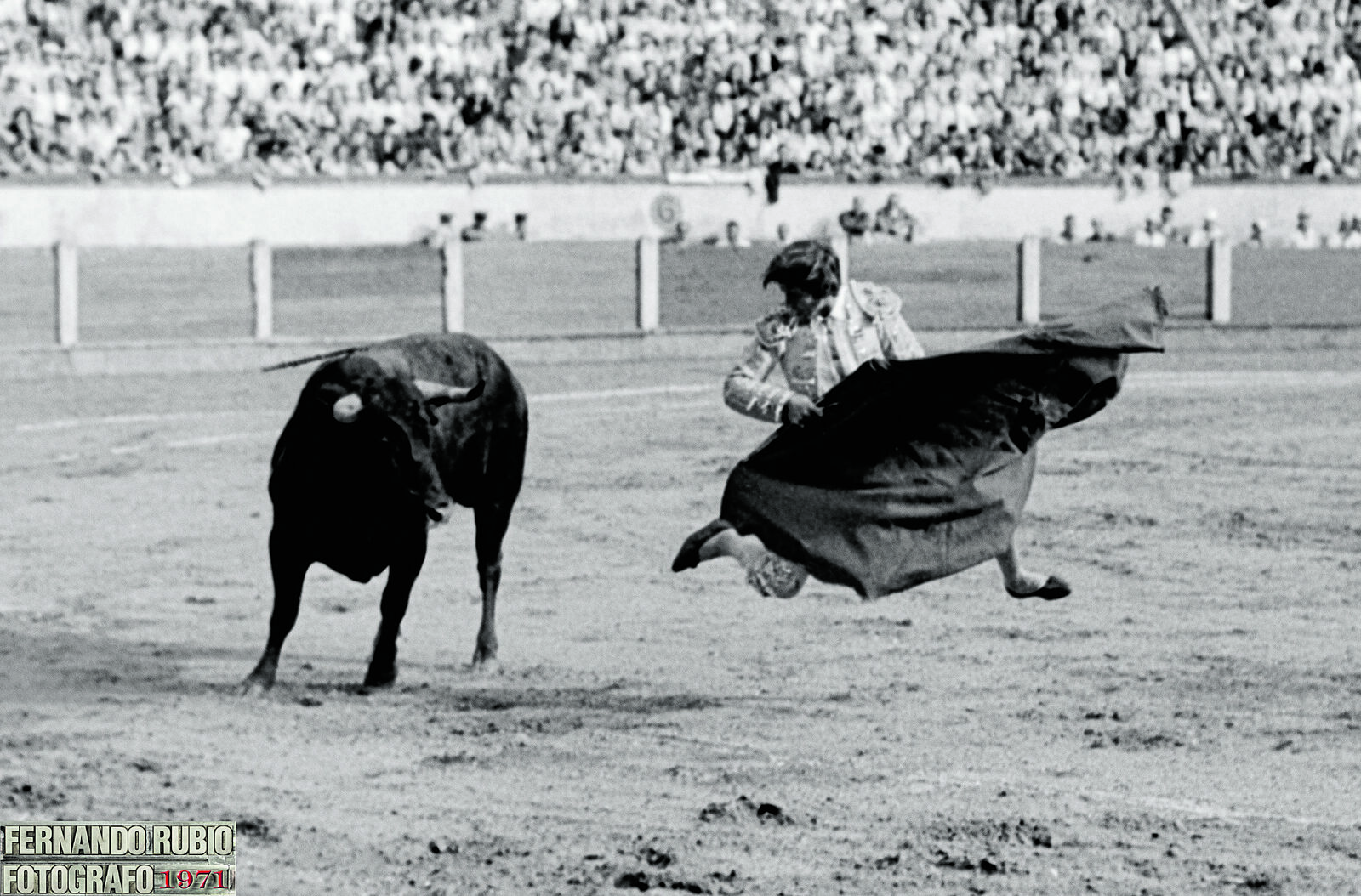 Los leoneses también pudieron disfrutar del famoso ‘salto de la rana’, el invento del revolucionario Manuel Benítez ‘El Cordobés’. | Fernando Rubio