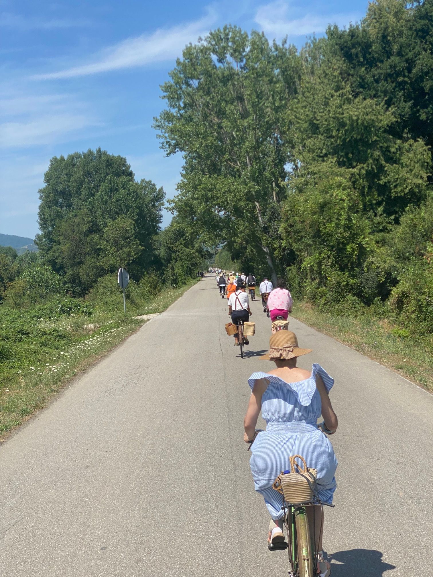 torale 9 torale 9