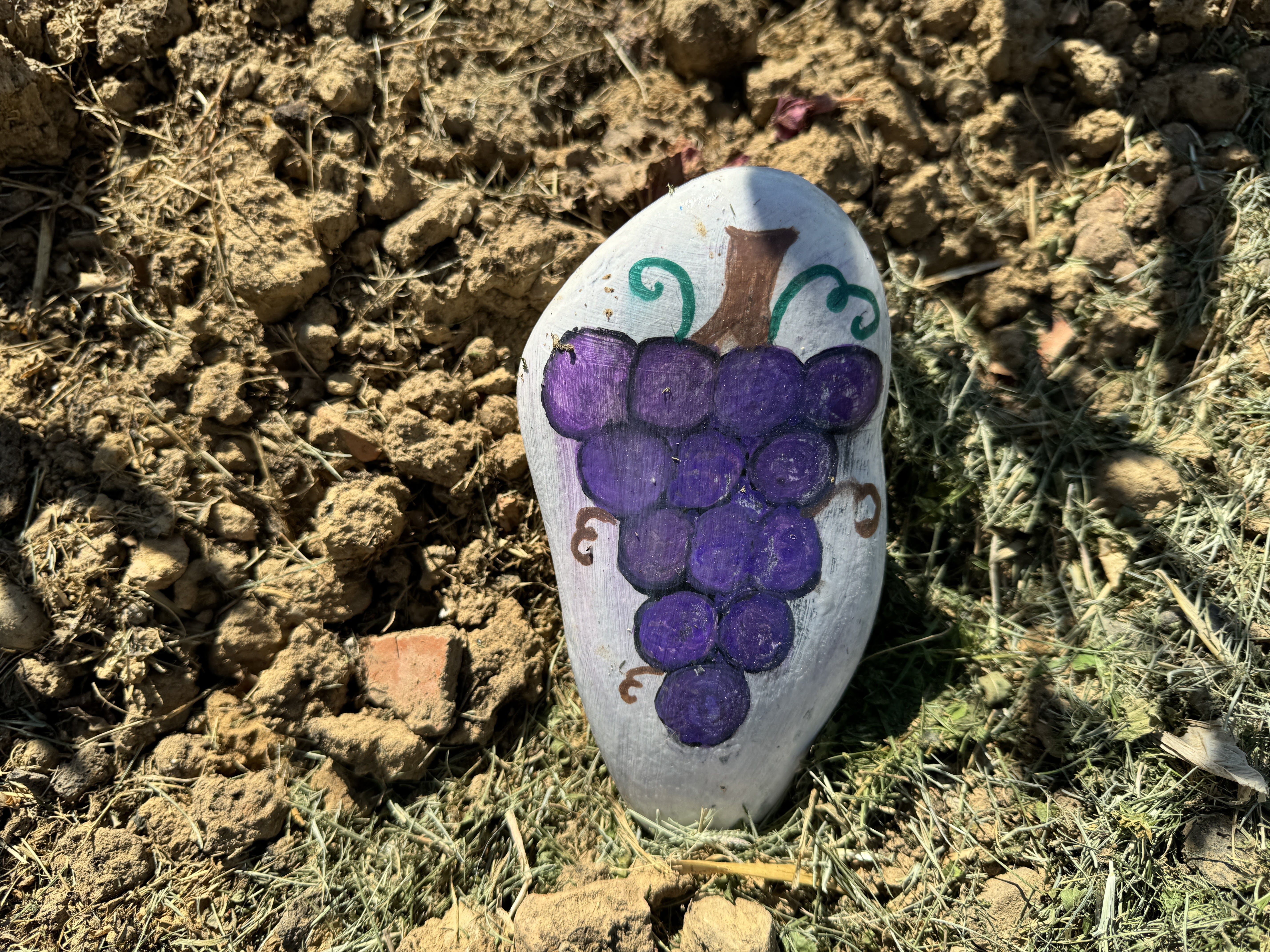 Gusendos inaugura su Jardín de Los Oteros